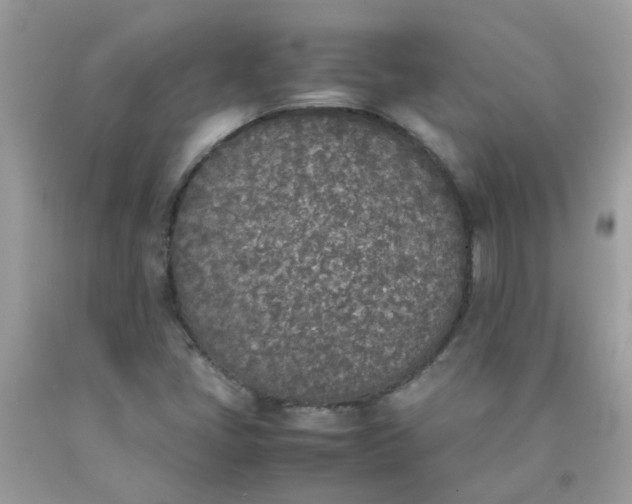 X0000090411405200707272039