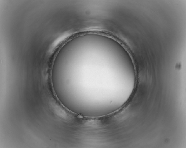 X0000090411406200707272039
