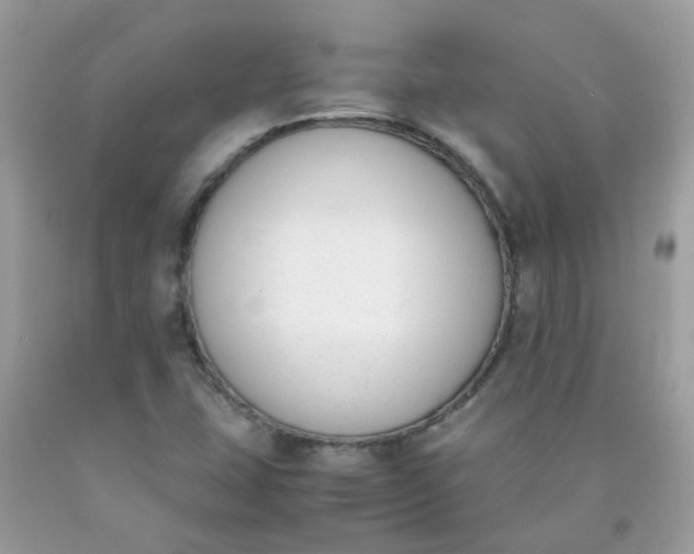 X0000090411407200707272039