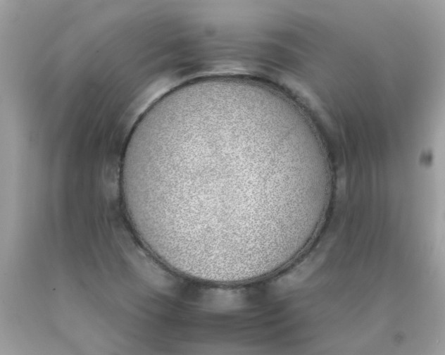 X0000090411409200707272039