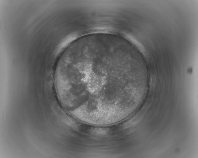 X0000090411411200707272039