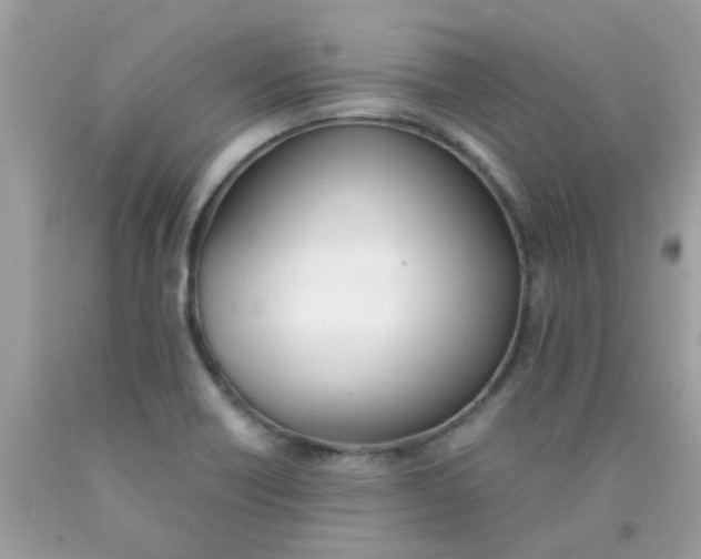 X0000090411418200707272039