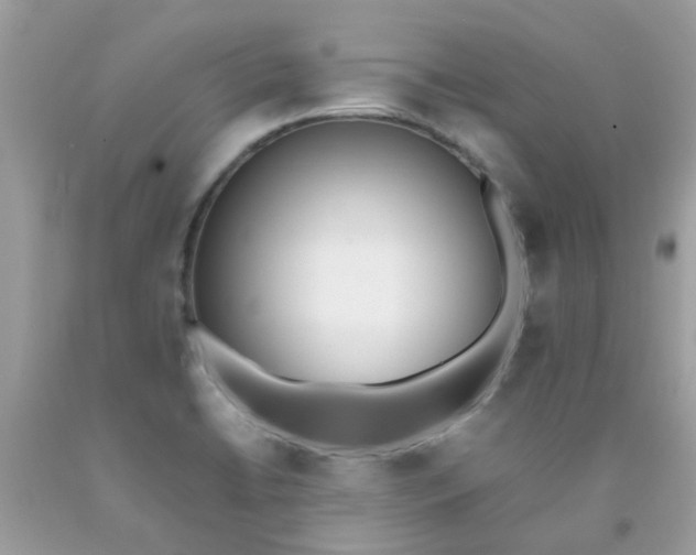 X0000090411422200707272039