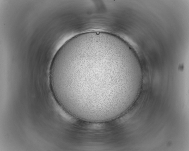 X0000090411423200707272039