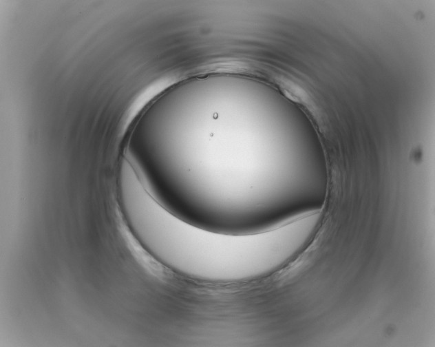 X0000090411426200707272039