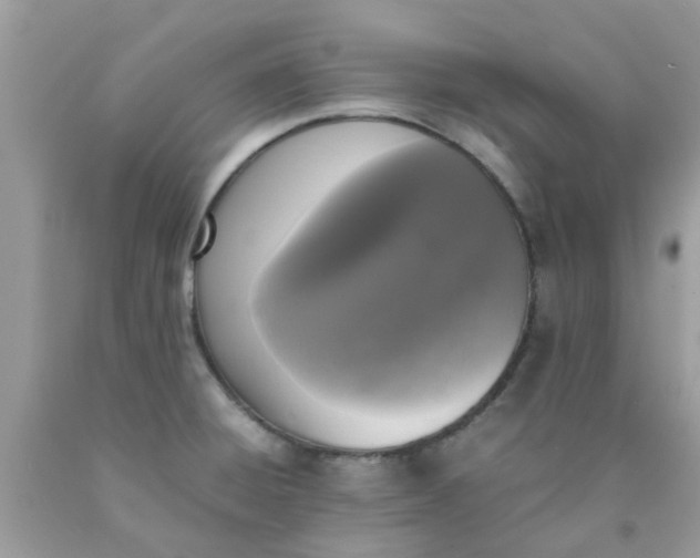 X0000090411428200707272039