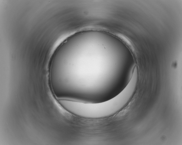 X0000090411430200707272039
