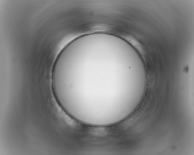 X0000090411431200707272039