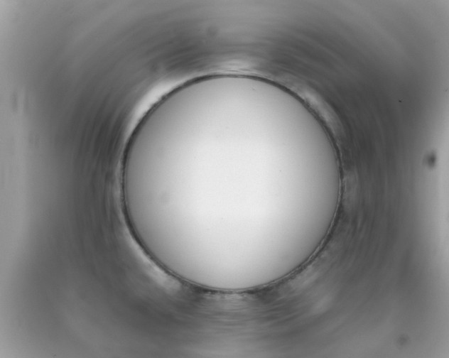 X0000090411432200707272039