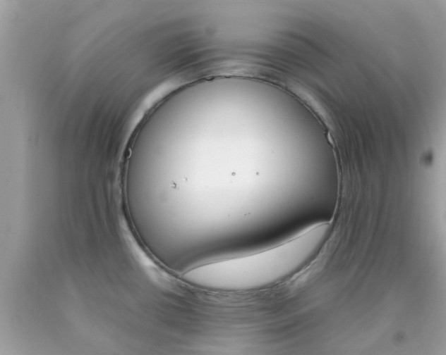 X0000090411434200707272039