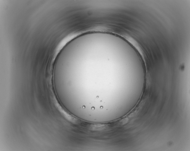 X0000090411437200707272039