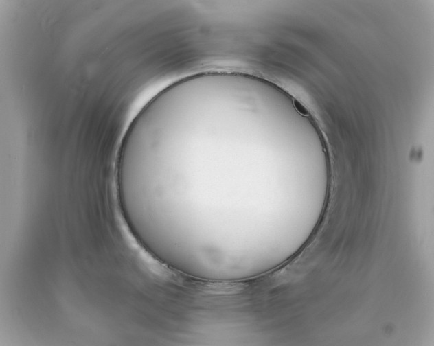 X0000090411440200707272039
