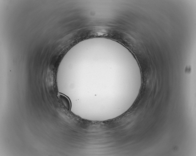 X0000090411442200707272039