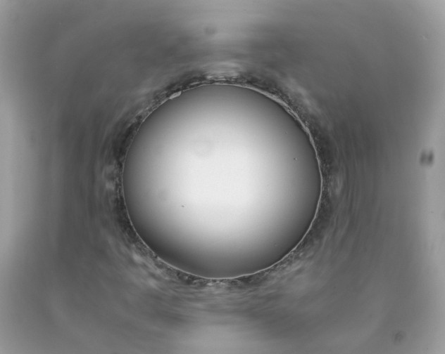 X0000090411445200707272039
