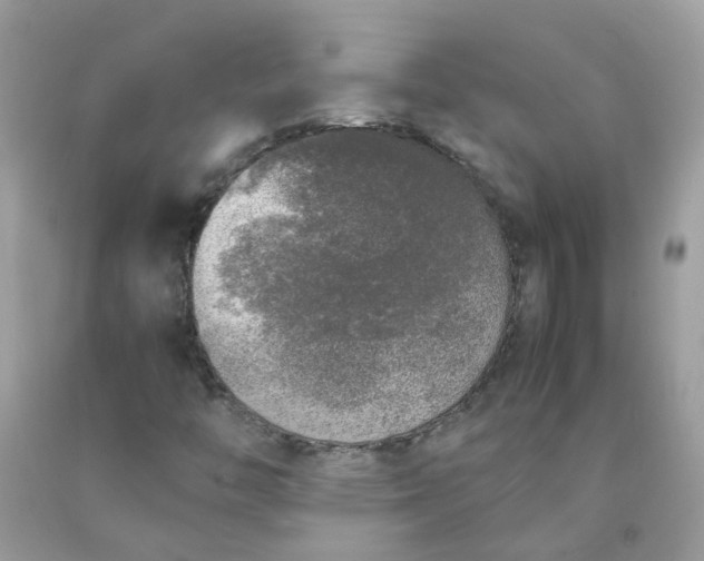 X0000090411446200707272039