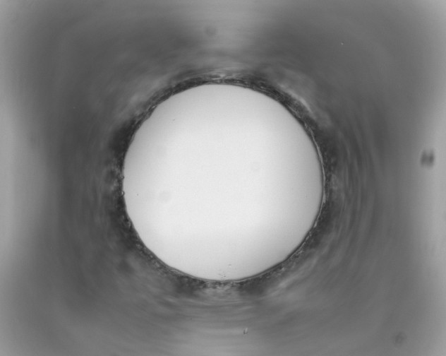 X0000090411447200707272039