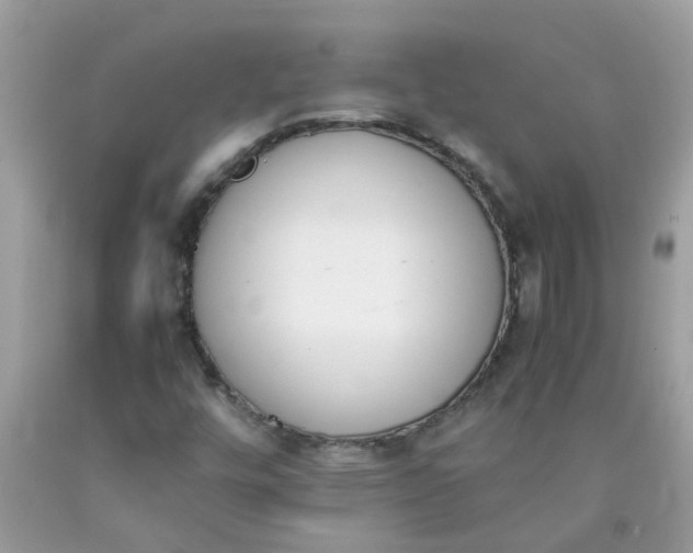 X0000090411448200707272039