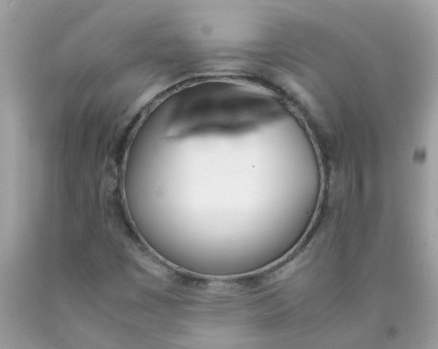 X0000090411449200707272039