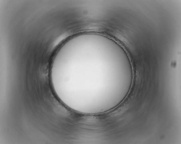 X0000090411450200707272039