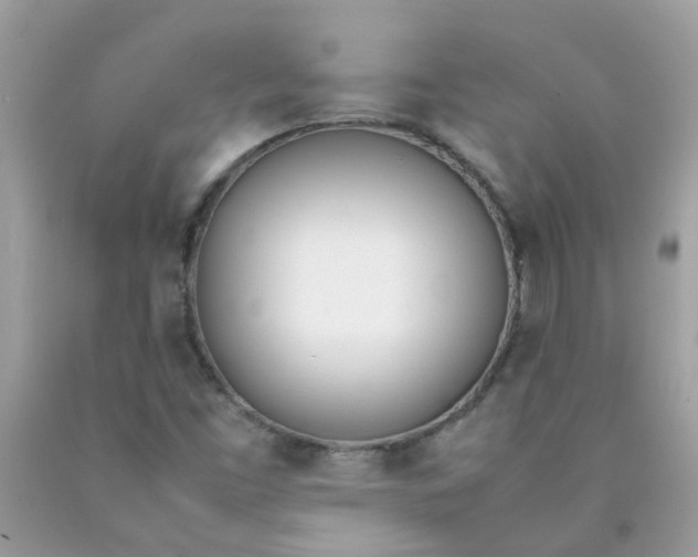X0000090411453200707272039