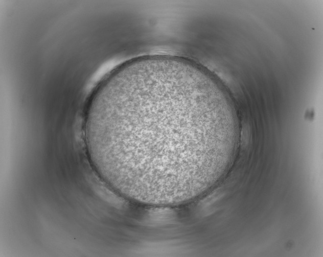 X0000090411454200707272039