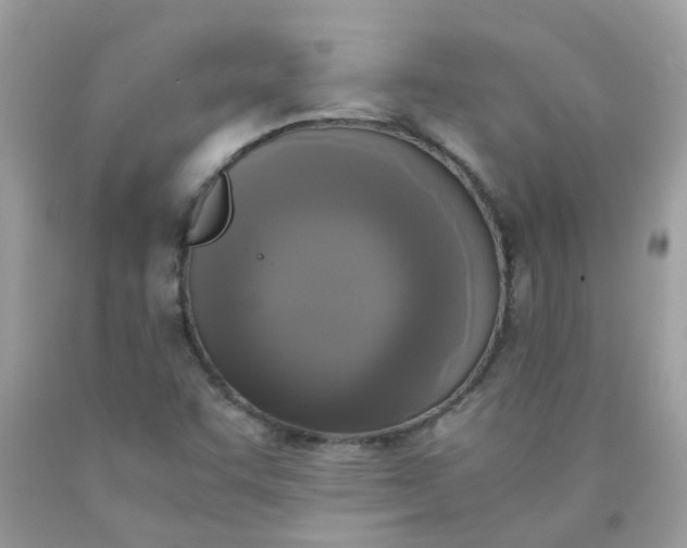 X0000090411455200707272039