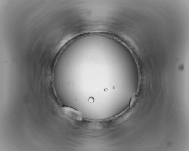 X0000090411457200707272039