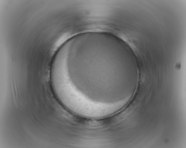X0000090411459200707272039