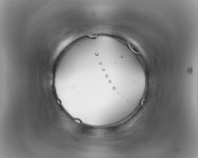 X0000090411461200707272039