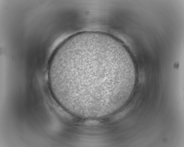 X0000090411462200707272039