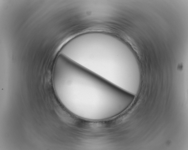 X0000090411465200707272039