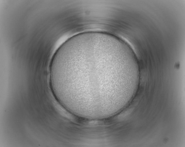 X0000090411467200707272039