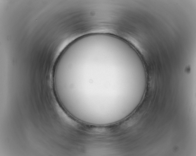 X0000090411468200707272039
