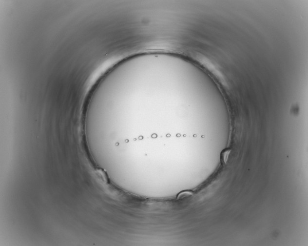 X0000090411469200707272039