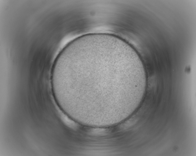 X0000090411470200707272039