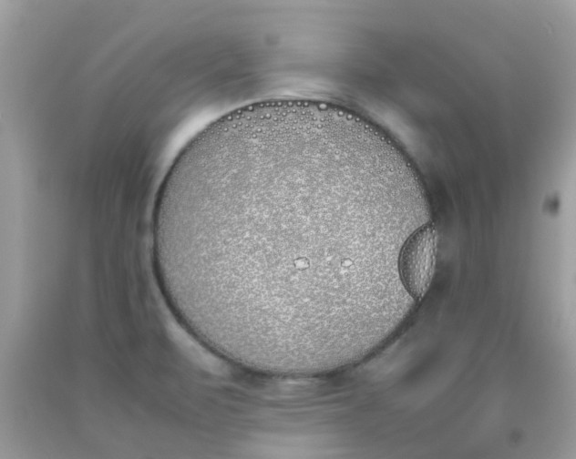X0000090411471200707272039