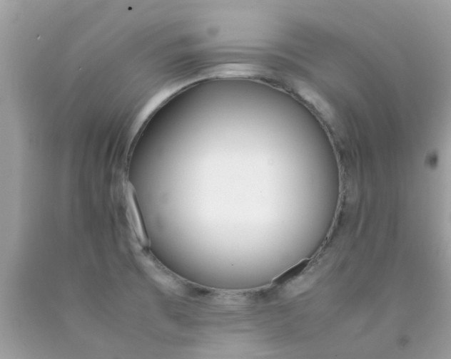 X0000090411473200707272038