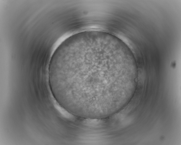 X0000090411474200707272038