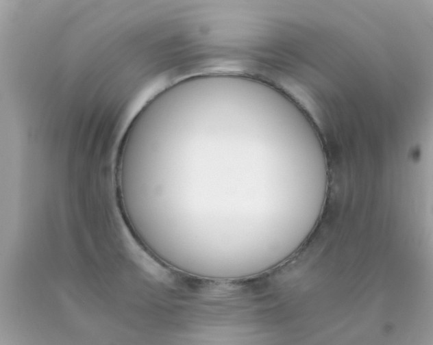 X0000090411475200707272038
