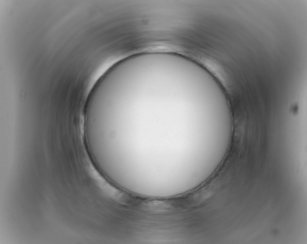 X0000090411476200707272038
