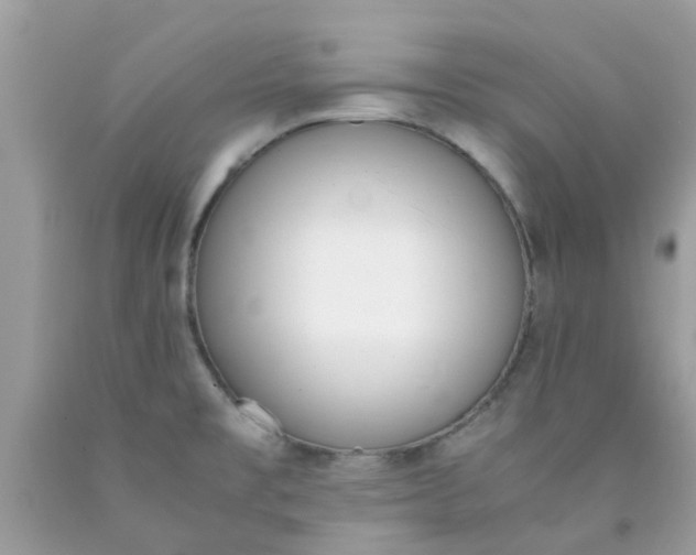X0000090411477200707272038