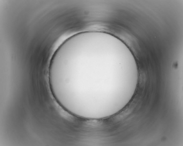 X0000090411478200707272038