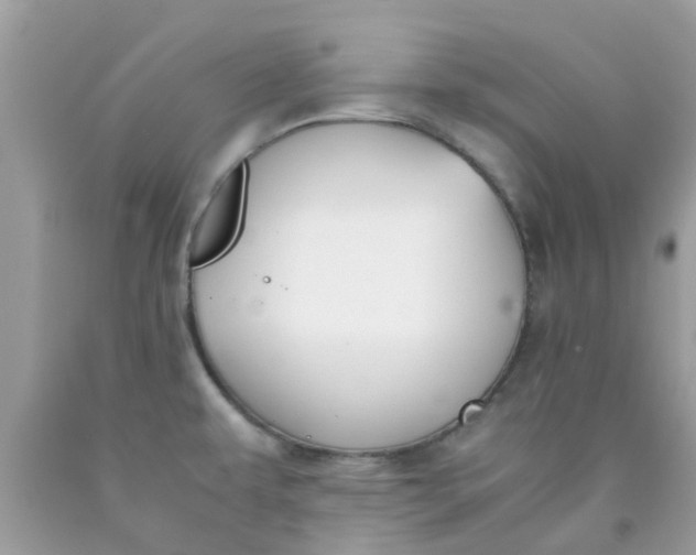X0000090411479200707272038