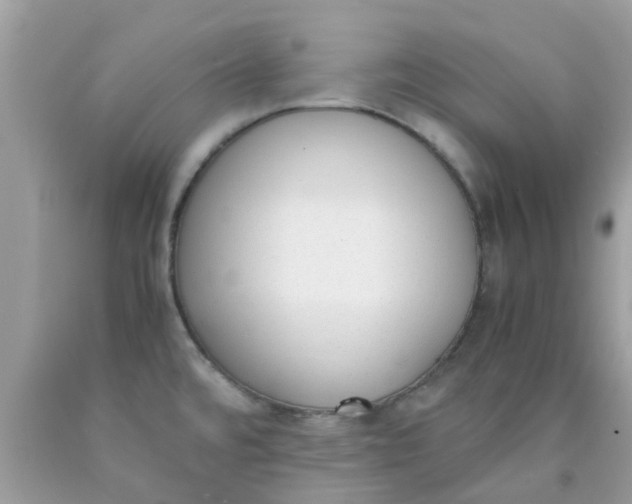 X0000090411480200707272038