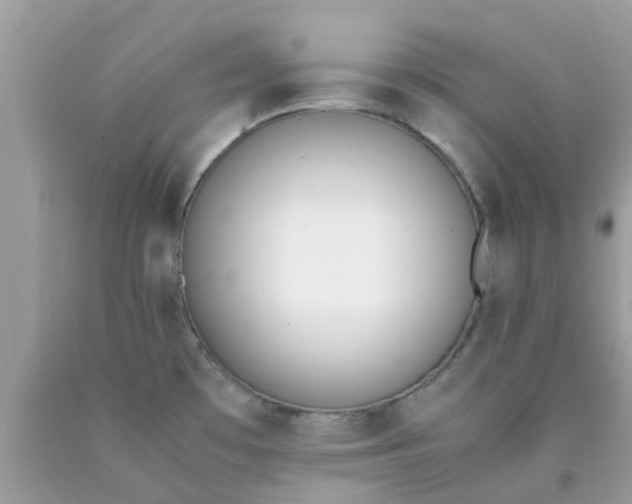 X0000090411481200707272038