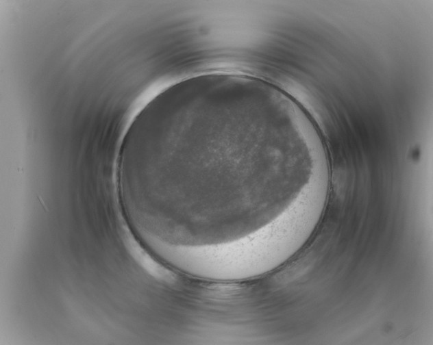 X0000090411482200707272038