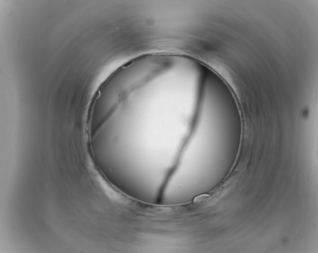 X0000090411485200707272038