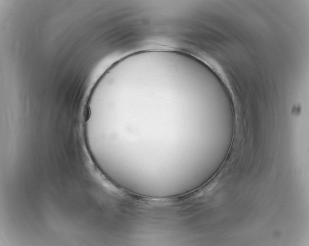 X0000090411488200707272038