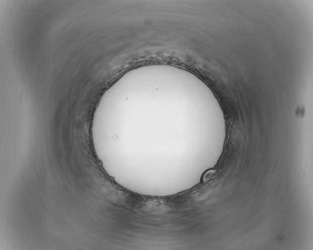 X0000090411489200707272038