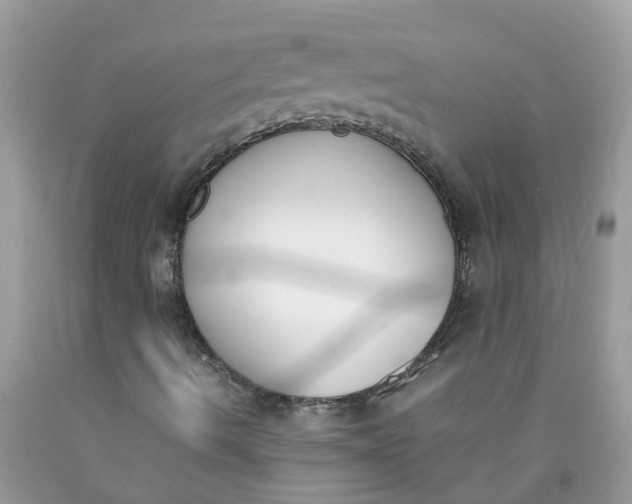 X0000090411490200707272038